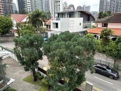 Kim Lin Park (D10), Semi-Detached #538087991